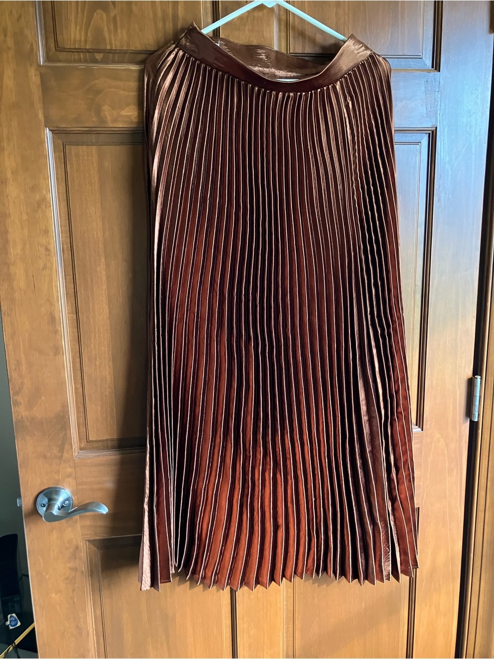 NWT Pleated Copper Maxi Skirt